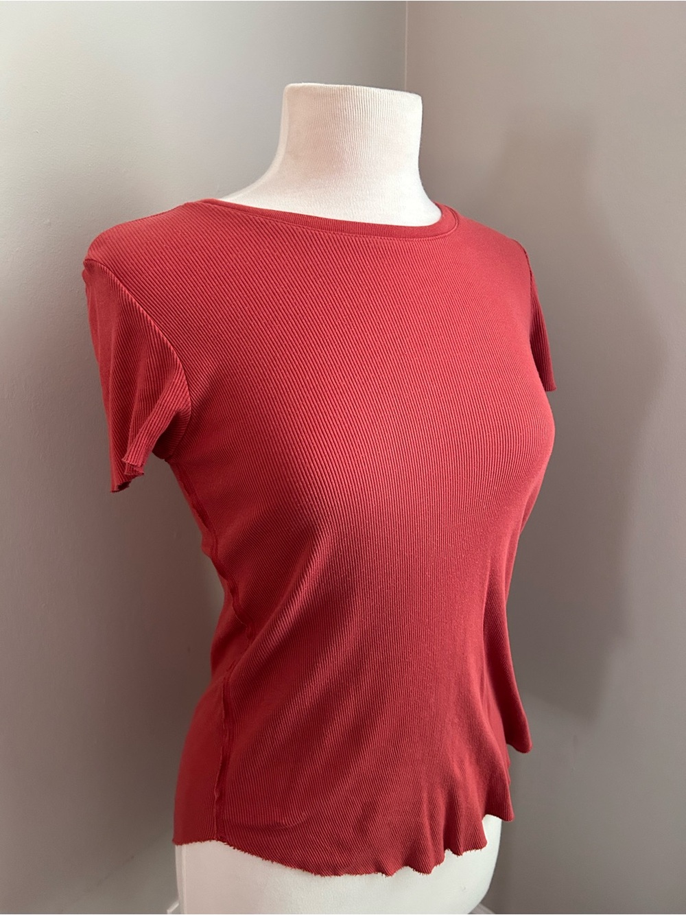 Splendid Short Sleeve Ribbed Tee in Brick Red